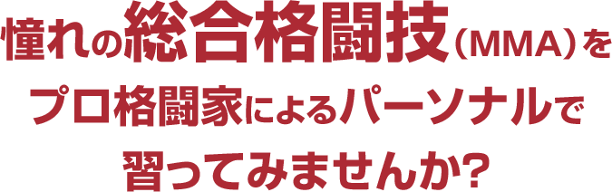 憧れの総合格闘技（MMA)をプロ格闘家によるパーソナルで習ってみませんか？