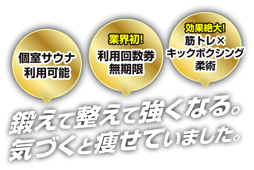 鍛えて整えて強くなる気づくと痩せていました