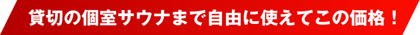 貸切の個室サウナまで自由に使えてこの価格！